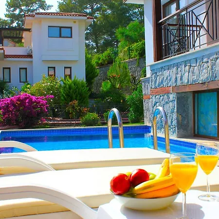 Villa Silverhill 2 With Private Pool Gocek (Fethiye)